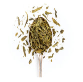 Sencha Tea image1 T200