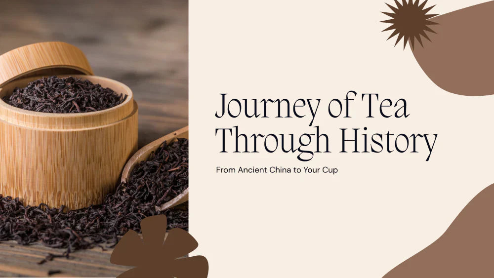 The Journey of Tea Through History: From Ancient China to Your Cup