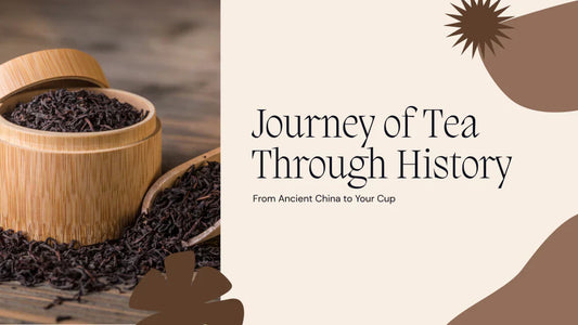 The Journey of Tea Through History: From Ancient China to Your Cup
