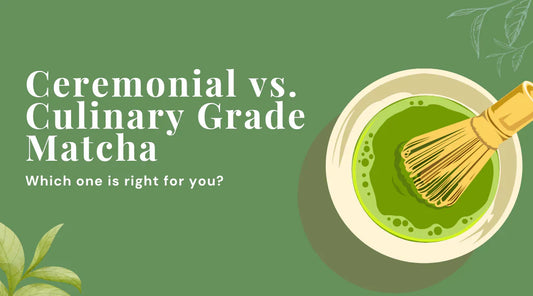 Ceremonial Grade Matcha vs Culinary Grade Matcha