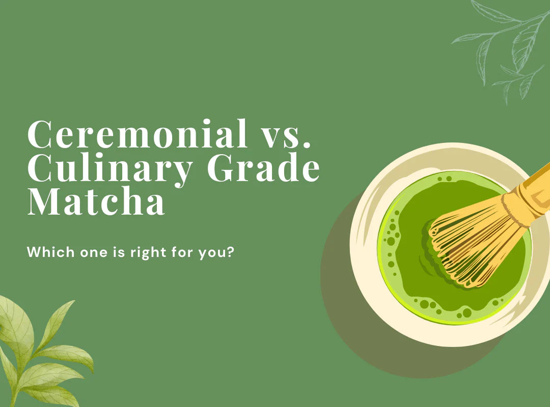 Ceremonial Grade Matcha vs Culinary Grade Matcha