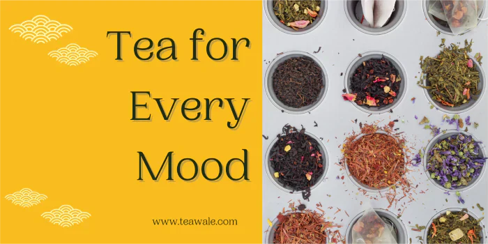 Finding the Perfect Tea for Every Mood