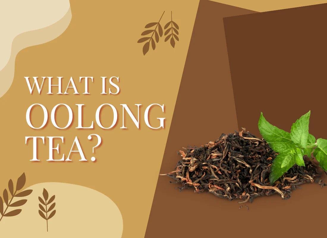 What Is Oolong Tea? Your Beginner’s Guide to This Ancient Brew