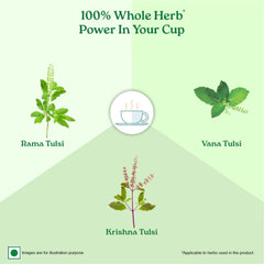 Organic India Tulsi Green Tea Classic loose Product image4