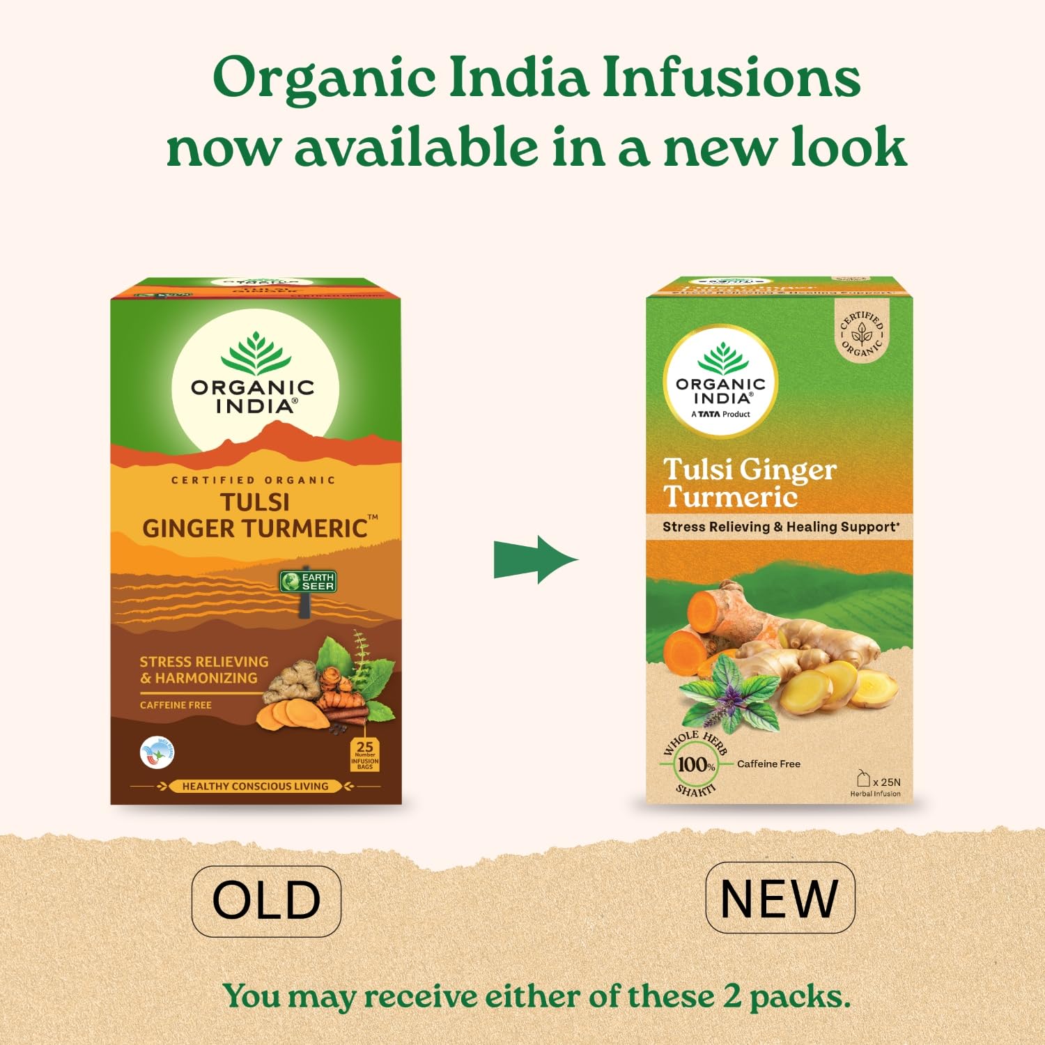 Organic India Tulsi Ginger Turmeric Product image3