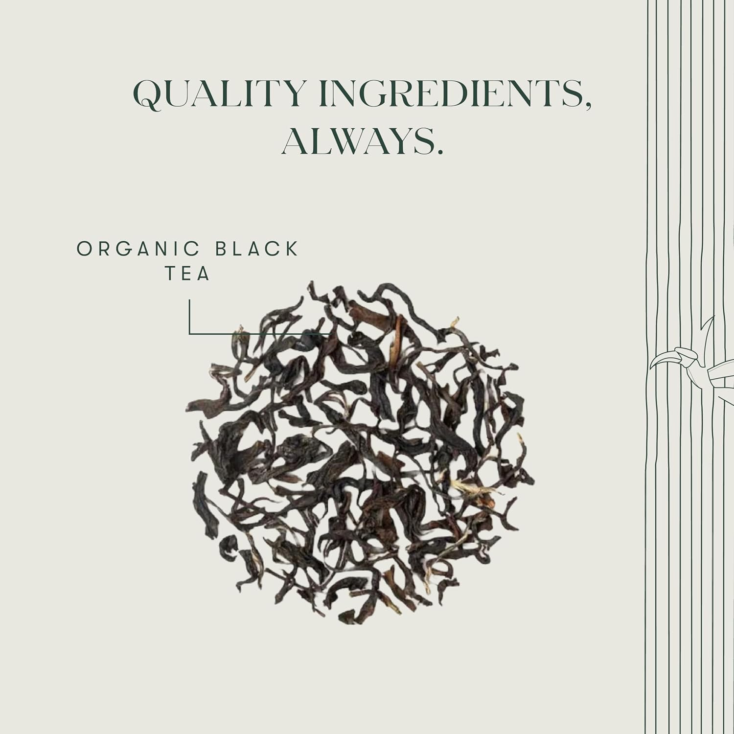 Luxmi Queen of the Hills (Teabags) CC2