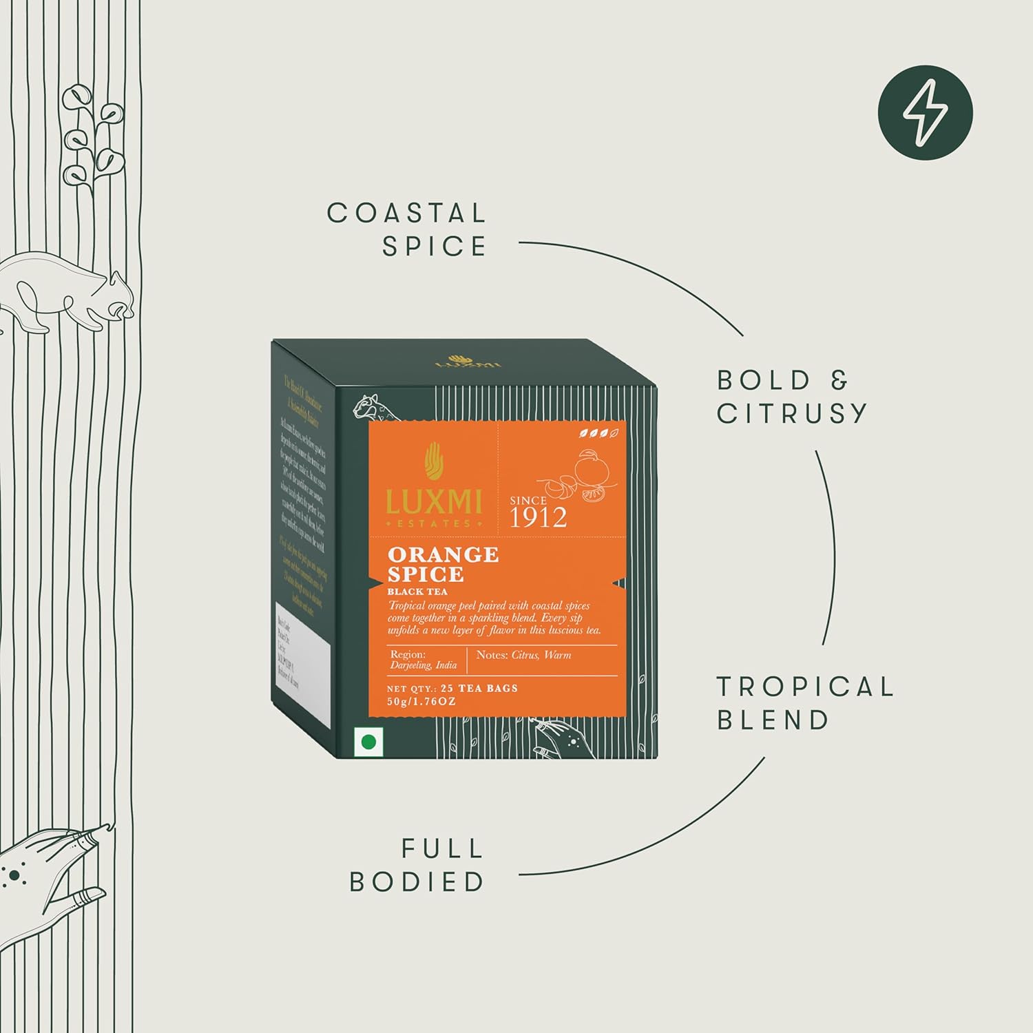 Luxmi Orange Spice (Teabags) Product image4