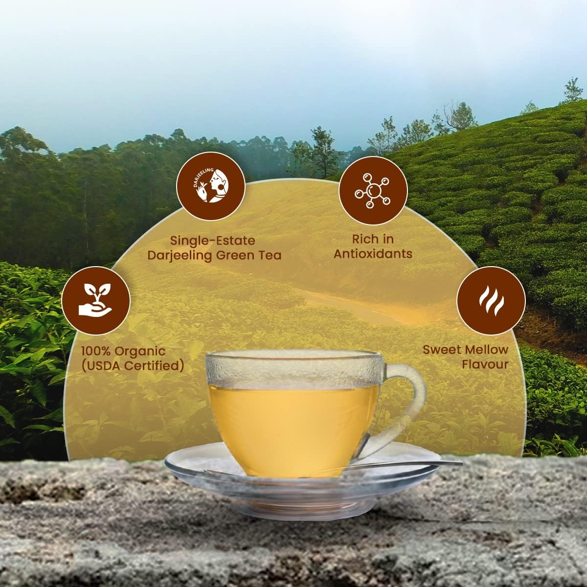 Goodricke Barnesbeg Organic Darjeeling Green Tea product image3
