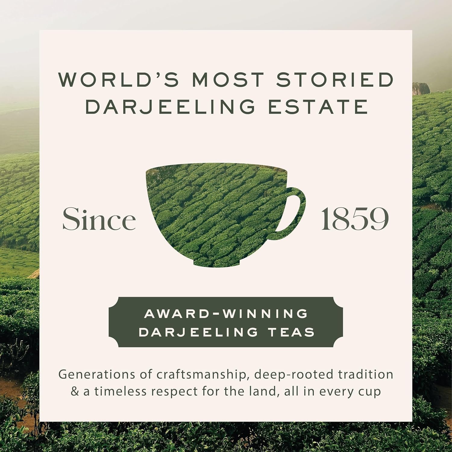 Makaibari Darjeeling Silver Green (Teabags) Product Common image3