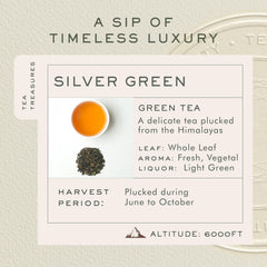 Makaibari Darjeeling Silver Green Product Common image1