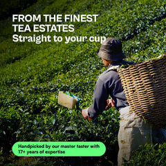 Darjeeling Summer Glory Black Tea image1