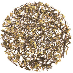 Pure Tulsi Green Tea image4