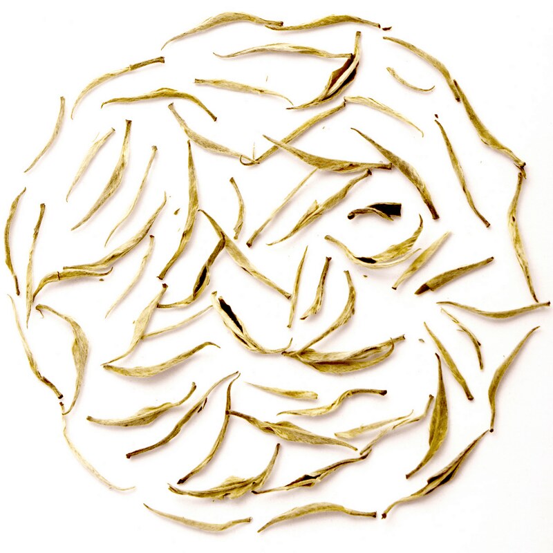 SNE Tea image6