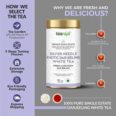 SNE Tea image4